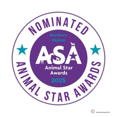 Groomingtails Groom School & Dog Spa Nominated For Animal Star Awards Northern Region 2025